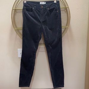 VINEYARD VINES VELVET PANTS